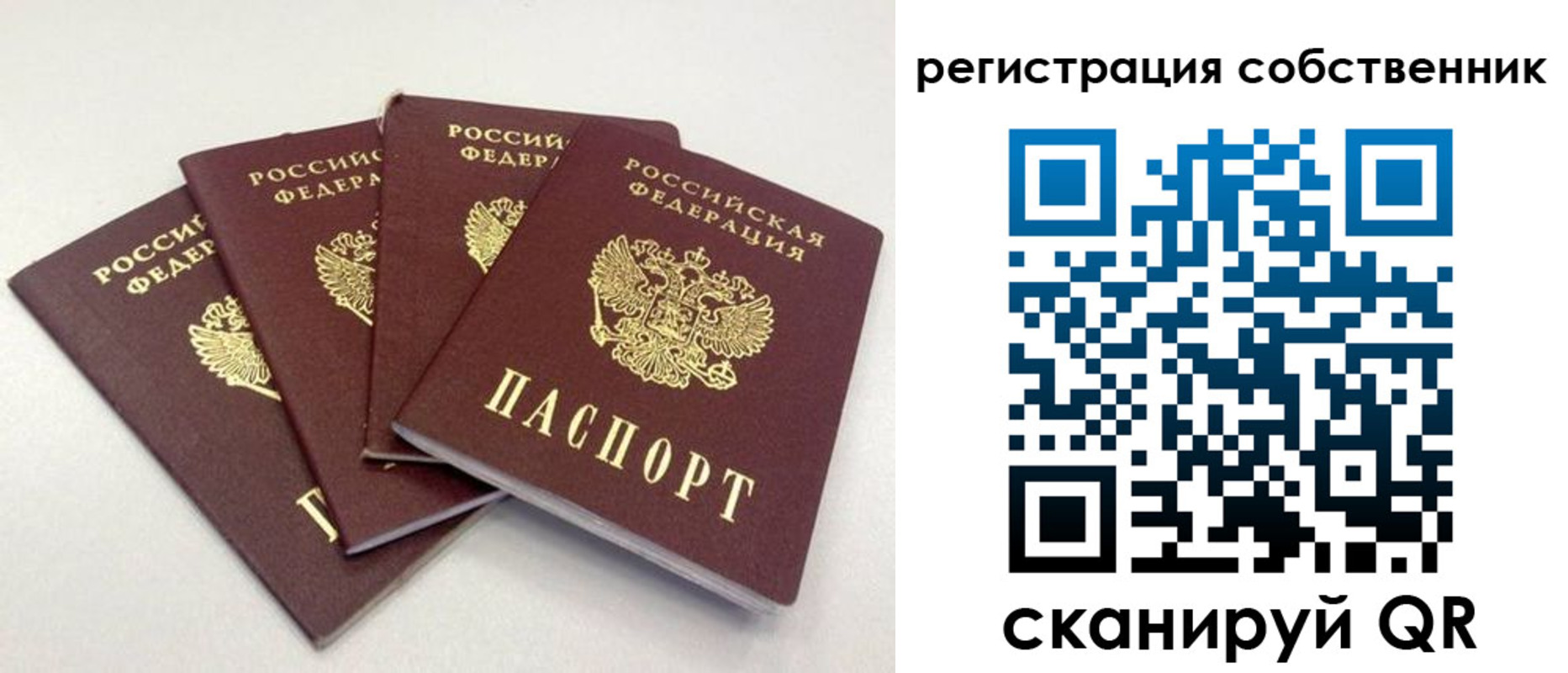 прописка для школы в Заозёрном